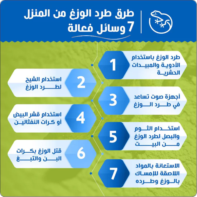 انفوجرافيك 7 طرق فعالة لطرد الوزغ من البيت