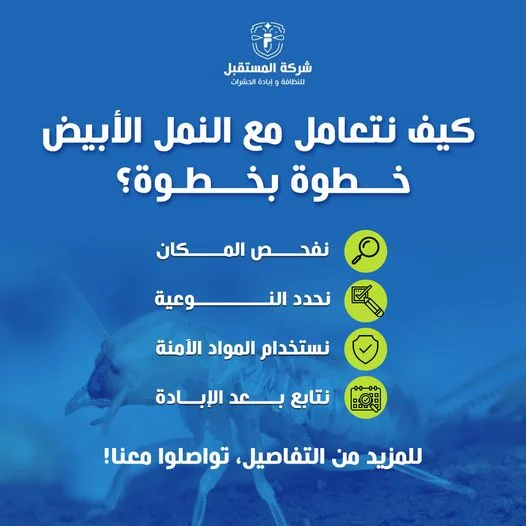 انفوجرافيك كيف نتعامل مع النمل الأبيض ونكافحه في الرياض